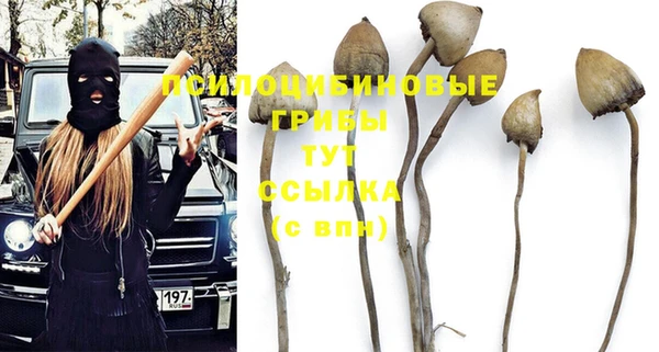 бутират Нея