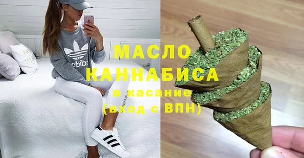 СК Алексин